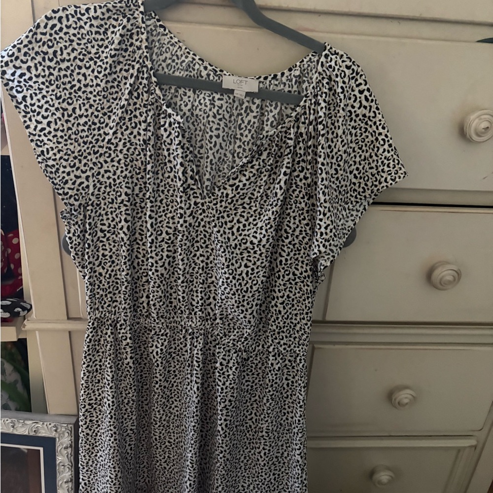 LOFT Outlet Petite Leopard Print dress - Black & Cream - Picture 4 of 5